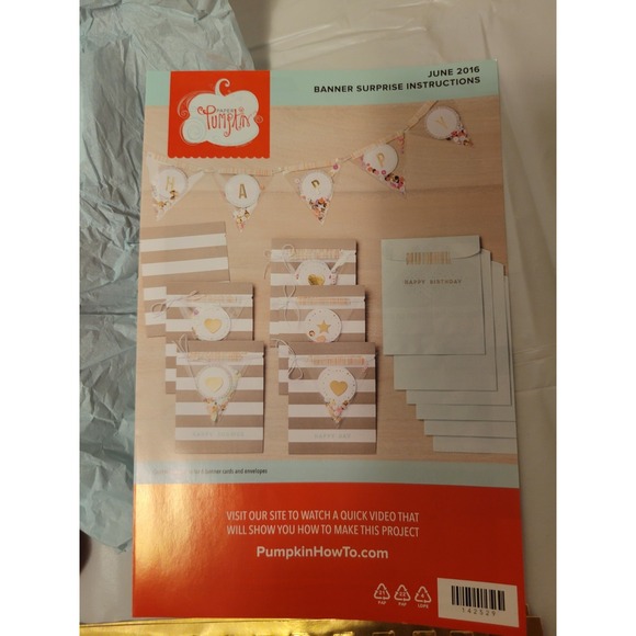 Stampin' Up! Other - Stampin Up! Paper Pumpkin Kit - BANNER SURPRISE - Party Birthday Graduation